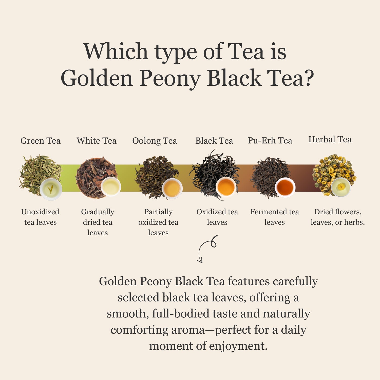 Golden Peony Black Tea – 50g/1.8oz