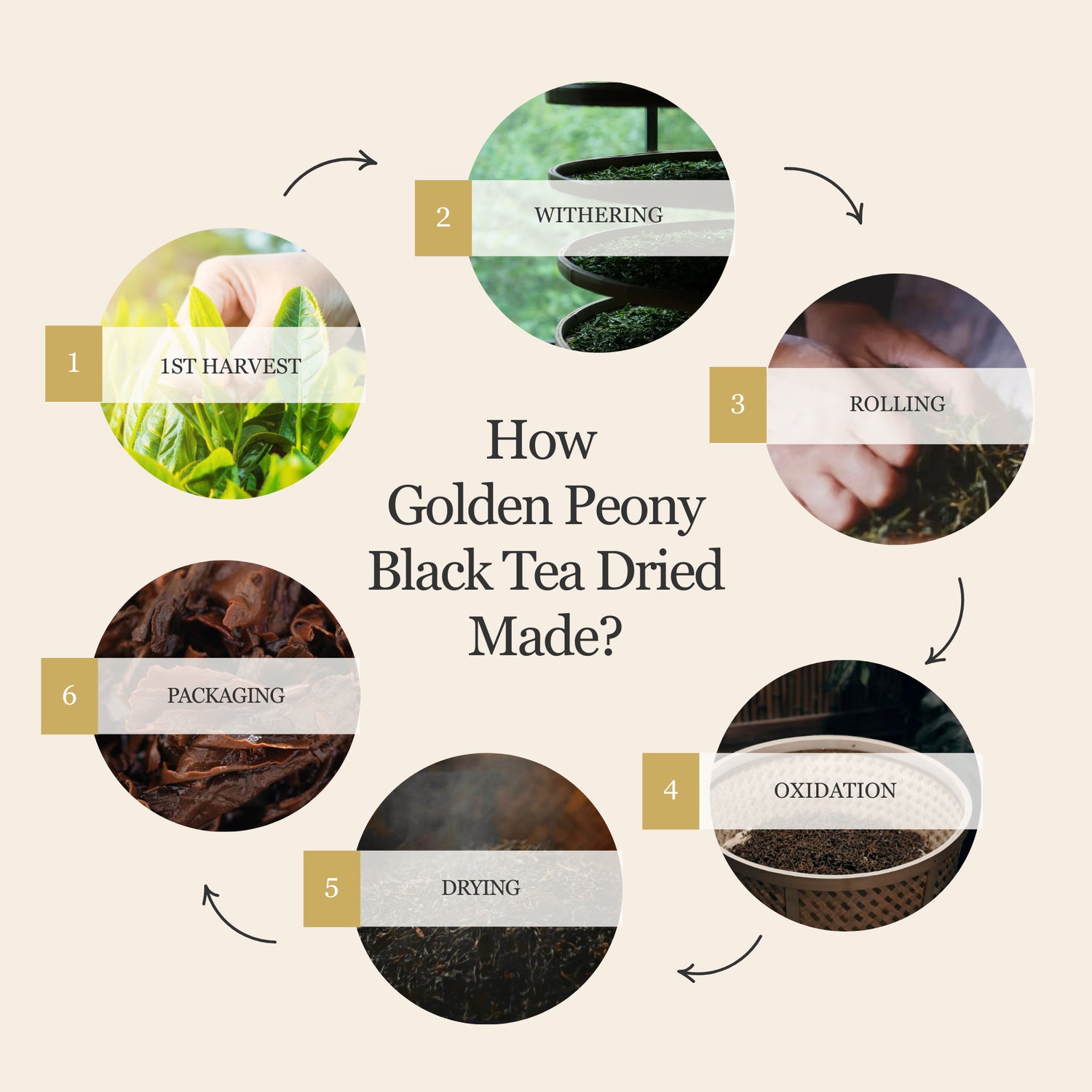 Golden Peony Black Tea – 50g/1.8oz