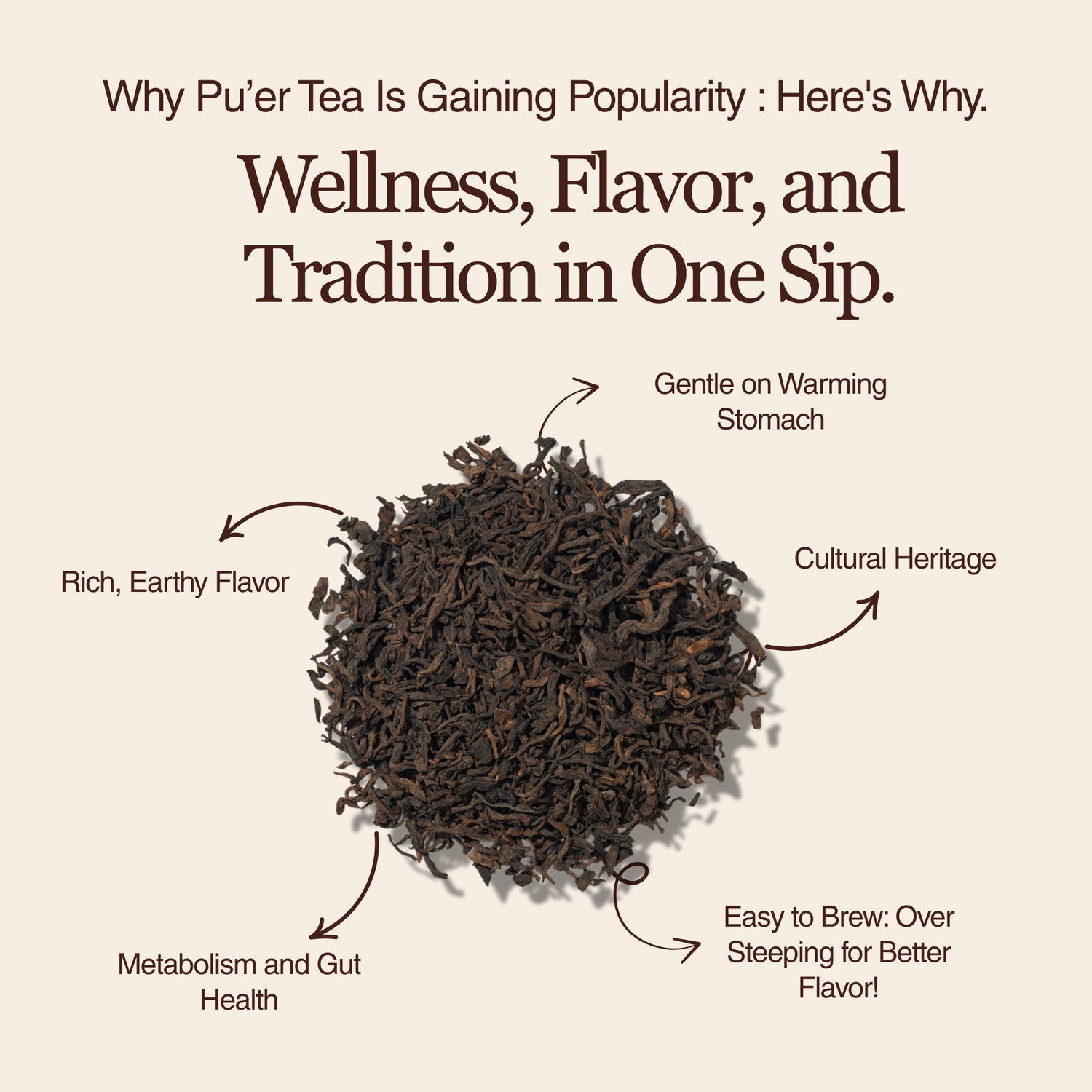 Golden Reserve Ripe Pu-erh – 50g / 1.8oz