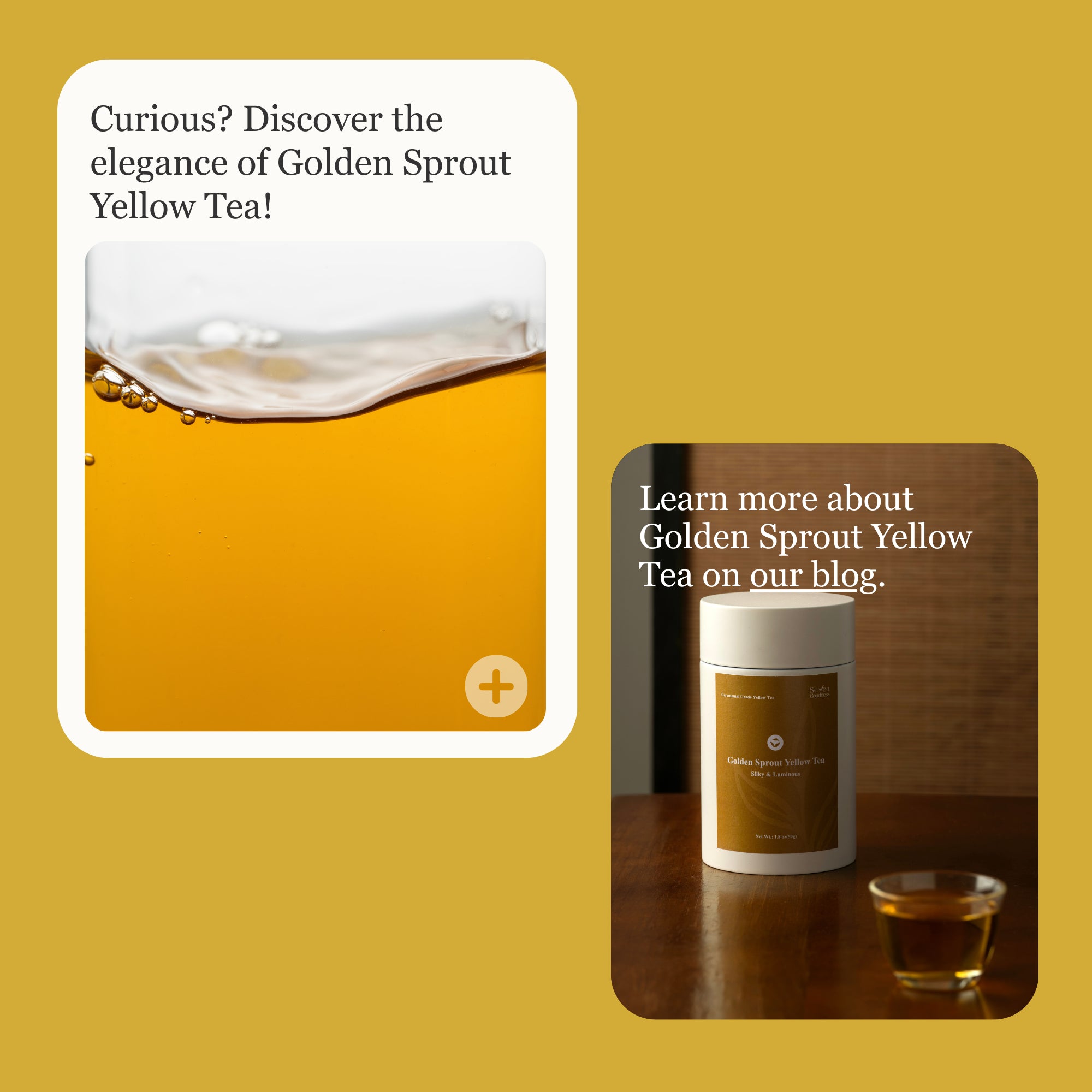 Golden Sprout Yellow Tea