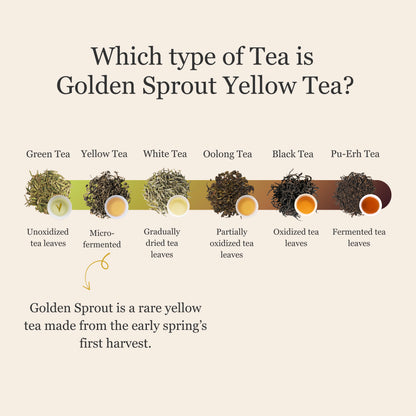 Golden Sprout Yellow Tea