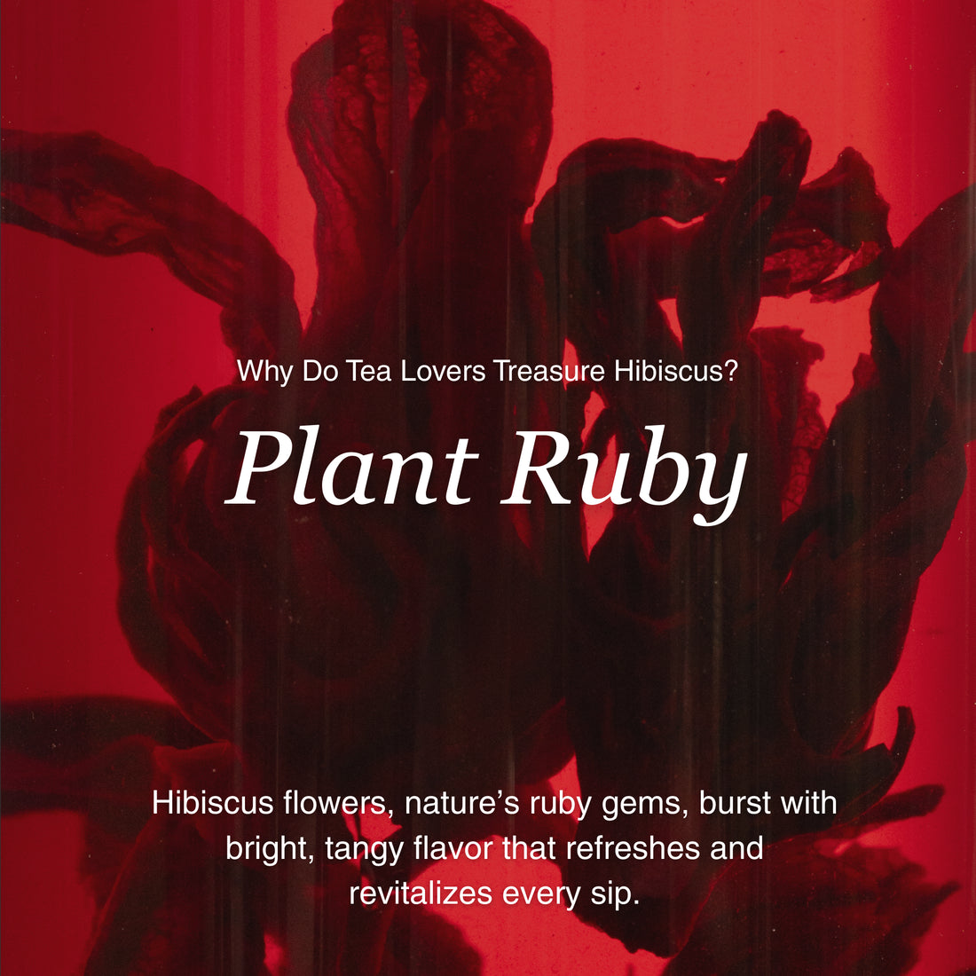 Hibiscus Herbal Tea – 80g/2.8oz