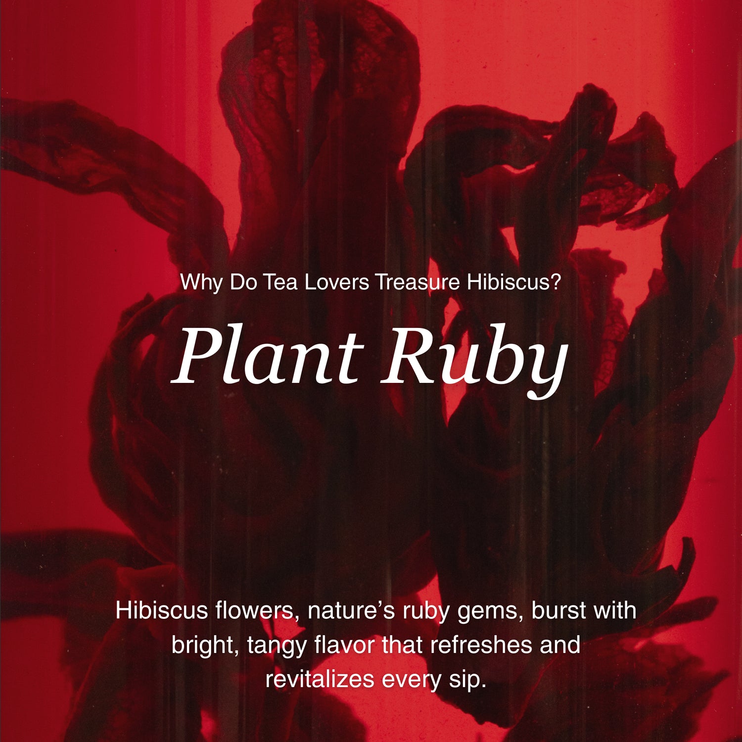 Hibiscus Herbal Tea – 80g/2.8oz