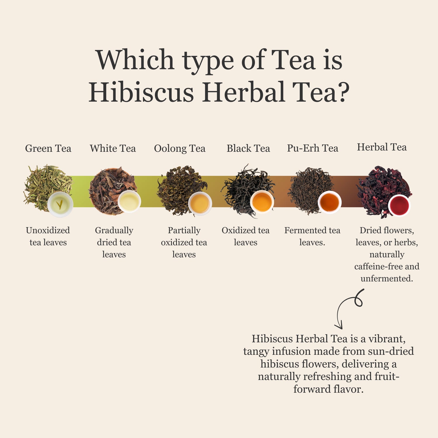 Hibiscus Herbal Tea – 80g/2.8oz