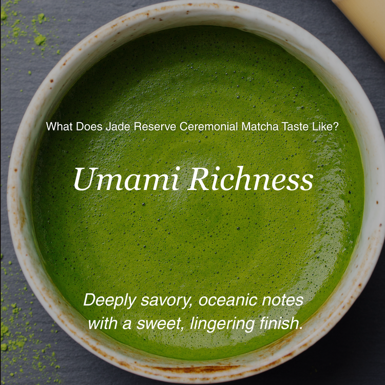 All Teas | Award-winning Tea & Exclusively Sourced Rare Tea. – Seven ...