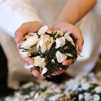 Ceremonial Grade Jasmine Tea: Artisan Making Process – Seven Teahouse