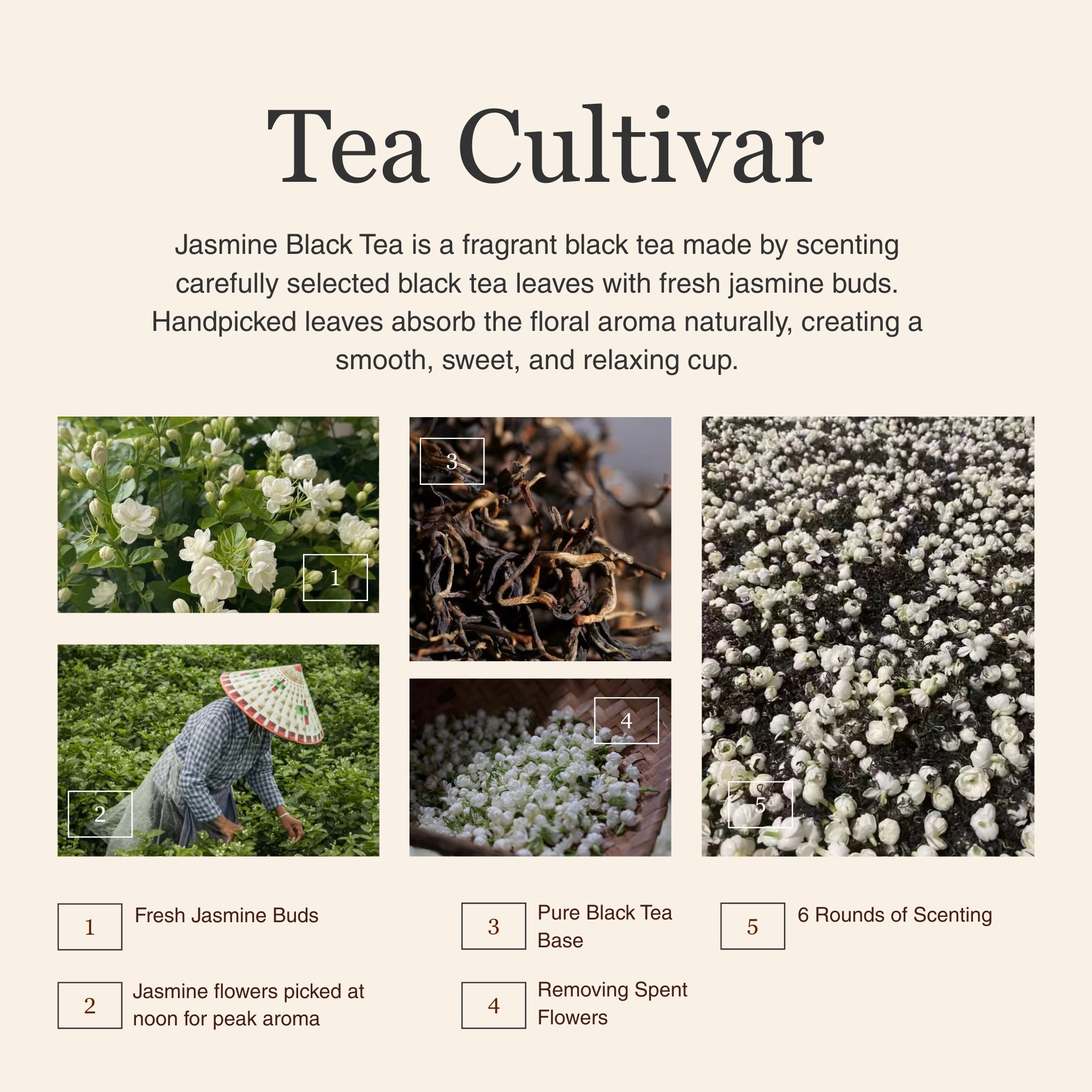 Jasmine Black Tea – 50g/1.8oz