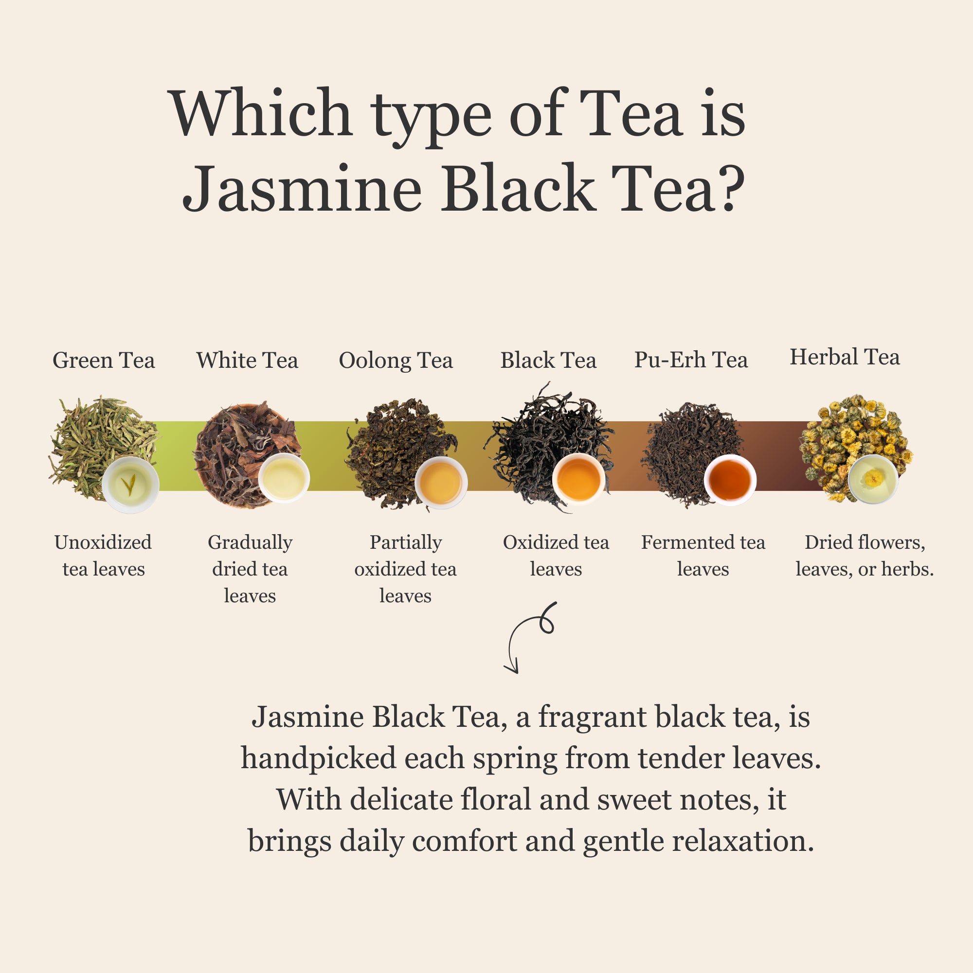 Jasmine Black Tea – 50g/1.8oz
