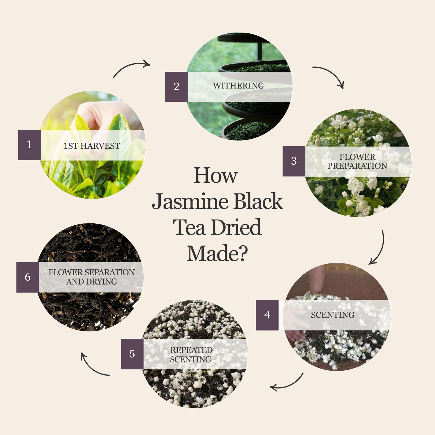Jasmine Black Tea – 50g/1.8oz
