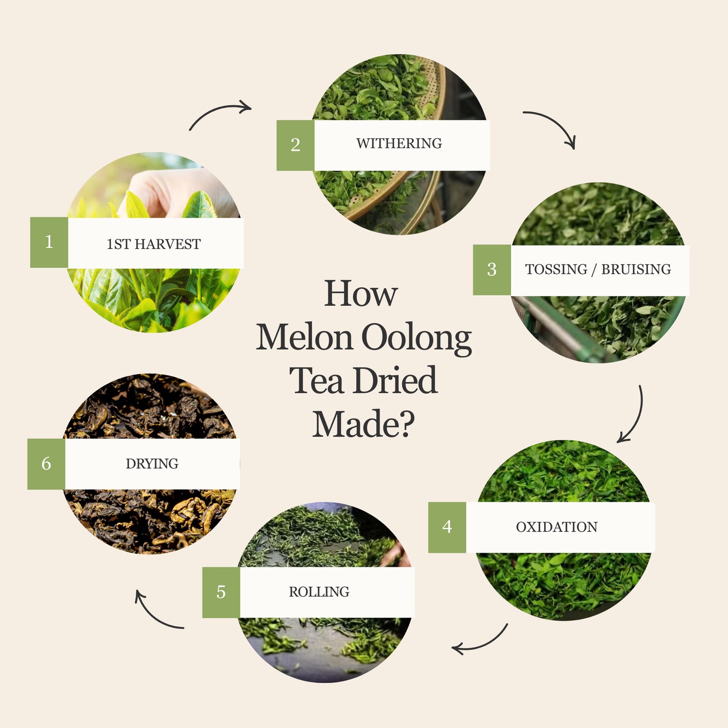 Melon Oolong Tea
