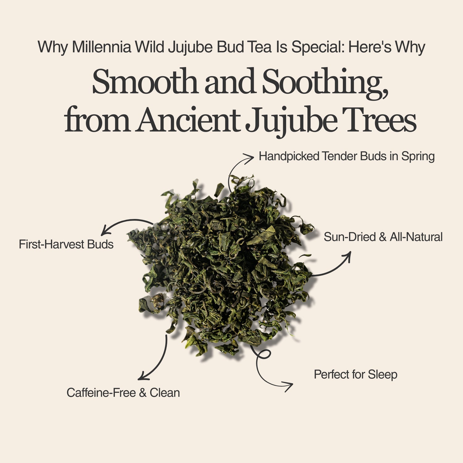 Millennia Wild Jujube Bud Herbal Tea – 50g/1.8oz