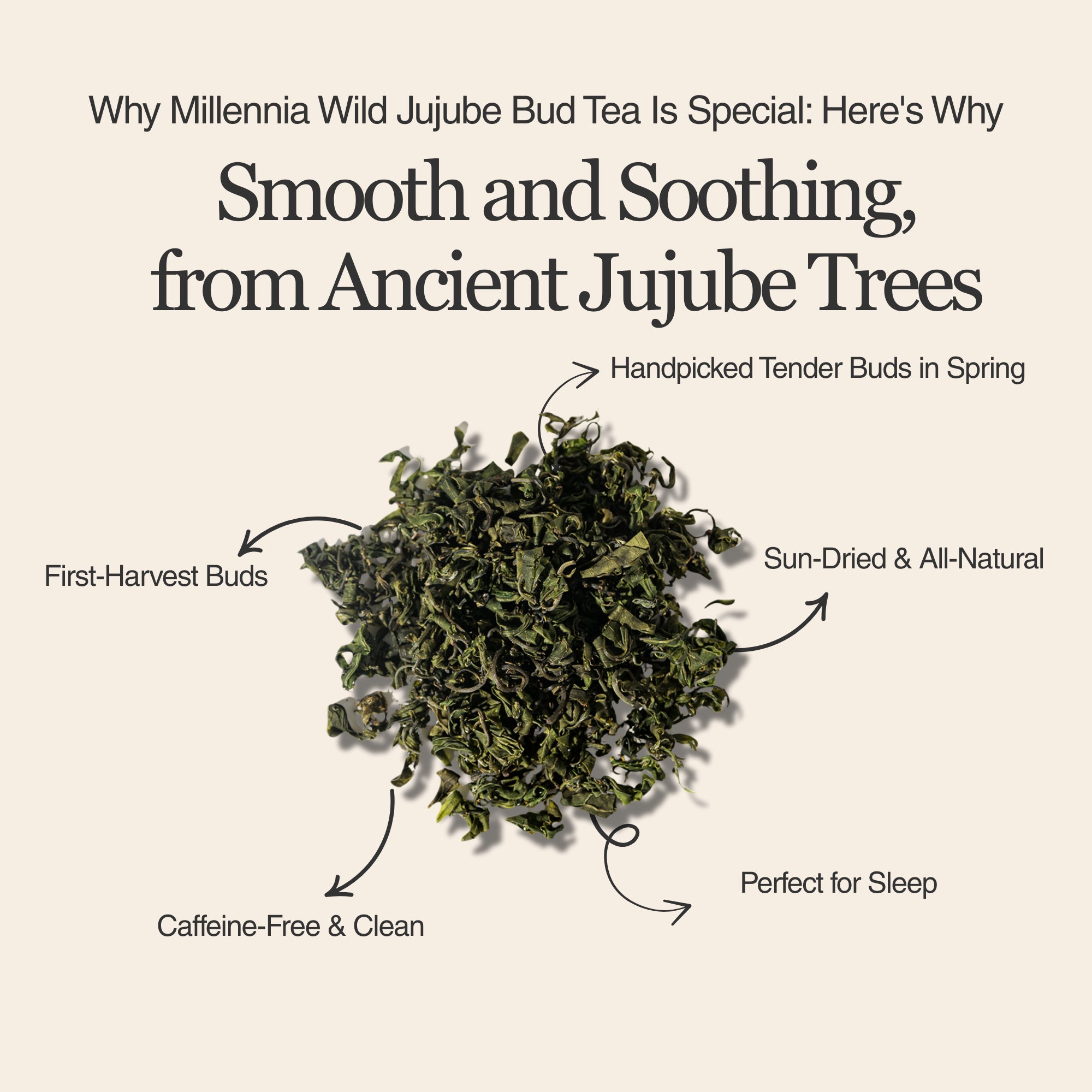 Millennia Wild Jujube Bud Herbal Tea – 50g/1.8oz