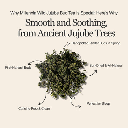 Millennia Wild Jujube Bud Herbal Tea – 50g/1.8oz