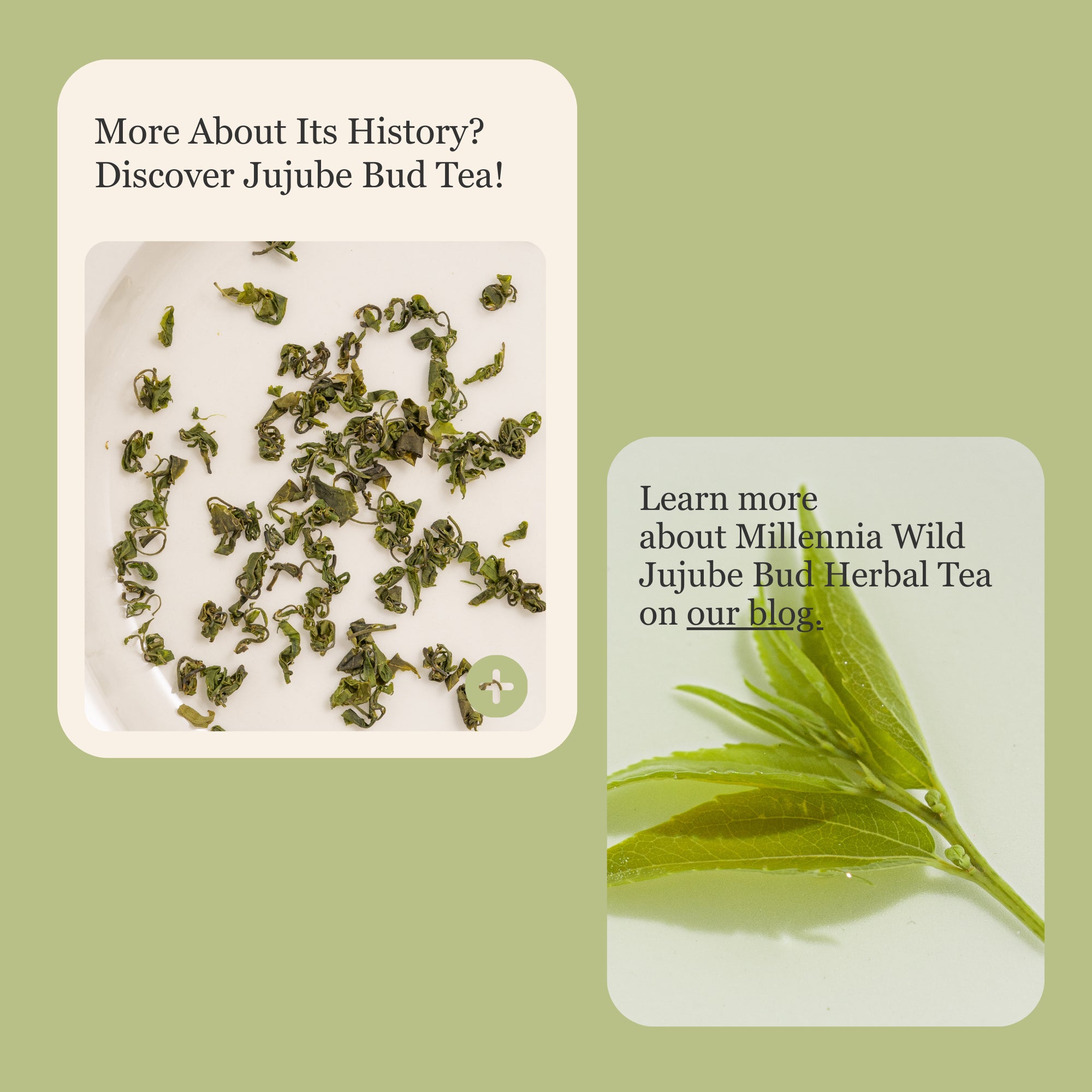 Millennia Wild Jujube Bud Herbal Tea – 50g/1.8oz