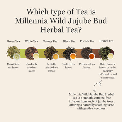 Millennia Wild Jujube Bud Herbal Tea – 50g/1.8oz