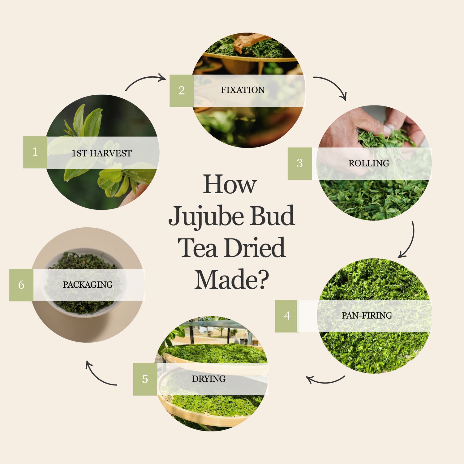 Millennia Wild Jujube Bud Herbal Tea – 50g/1.8oz