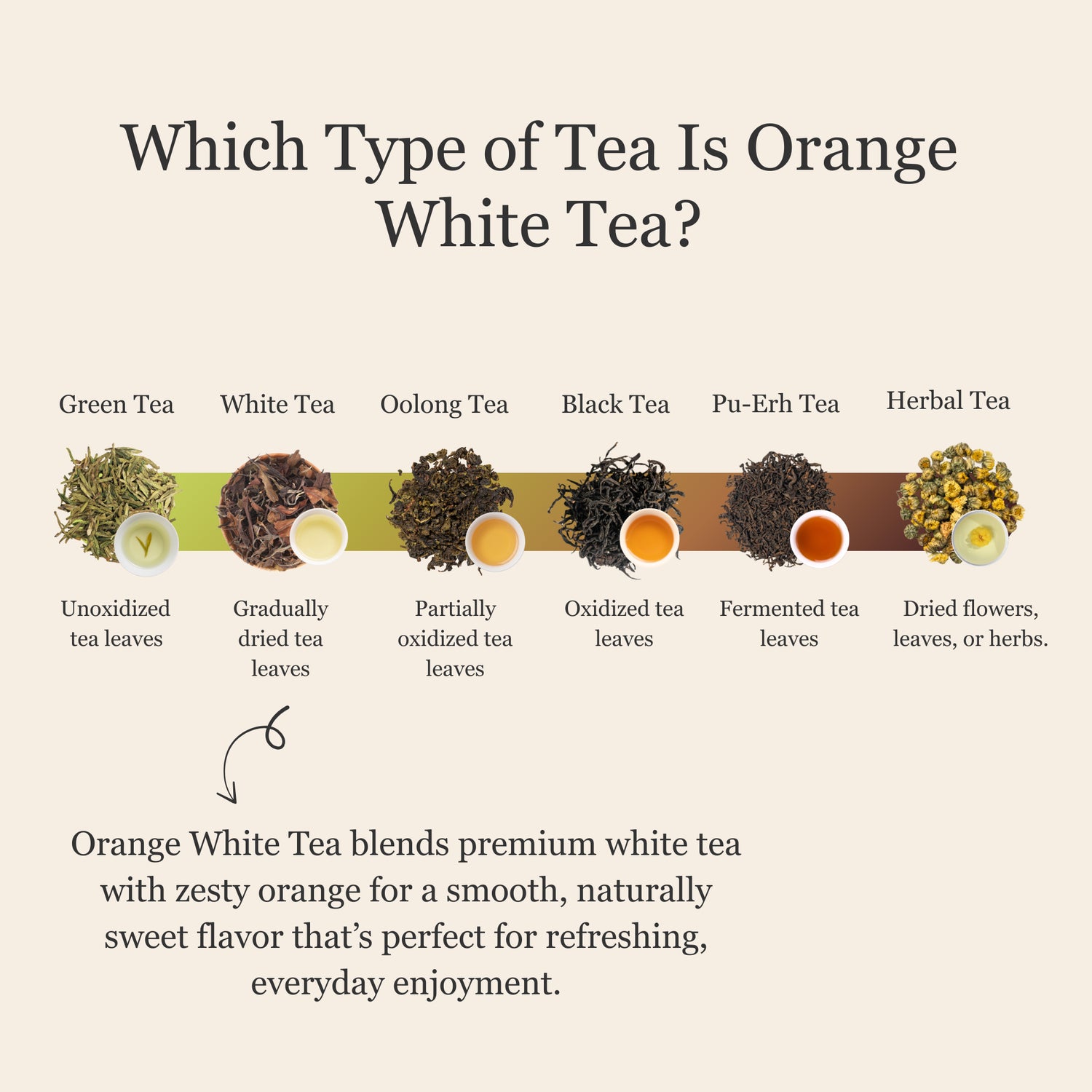 Orange White Tea