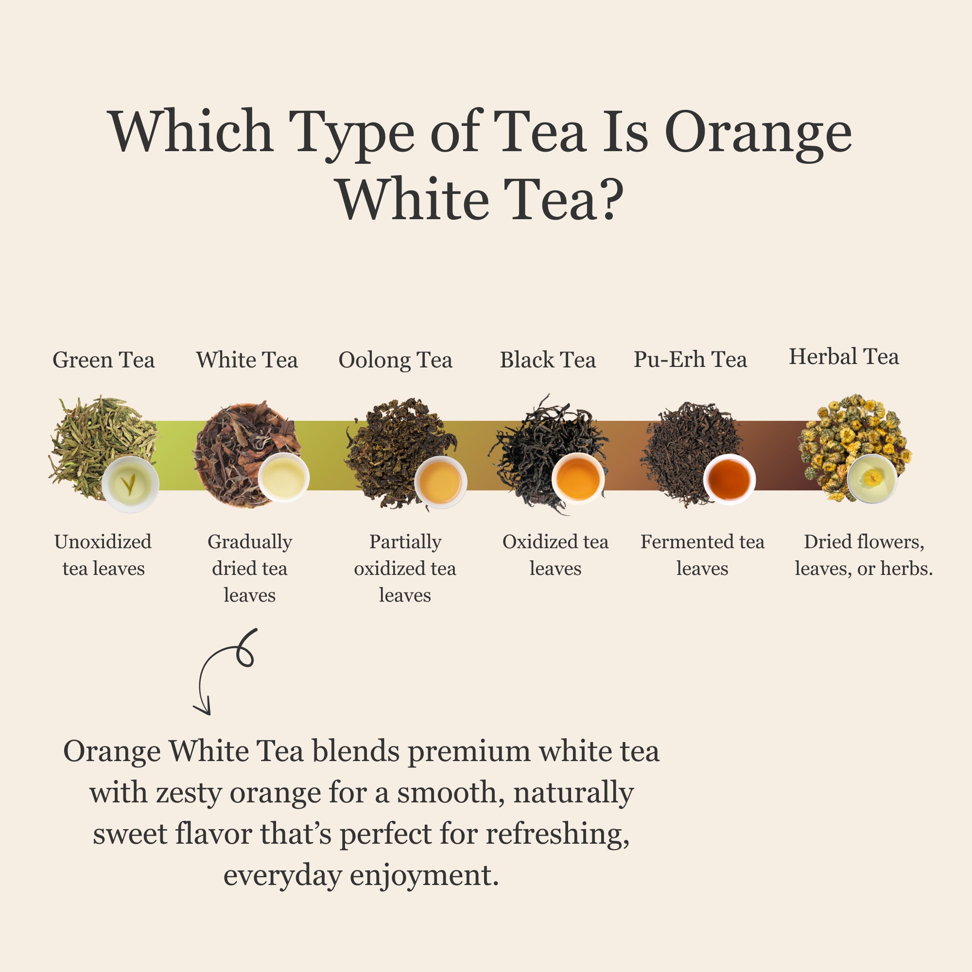 Orange White Tea