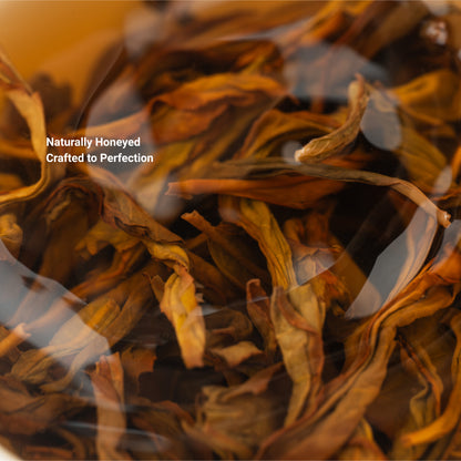 Orchid Phoenix Reserve Oolong Tea
