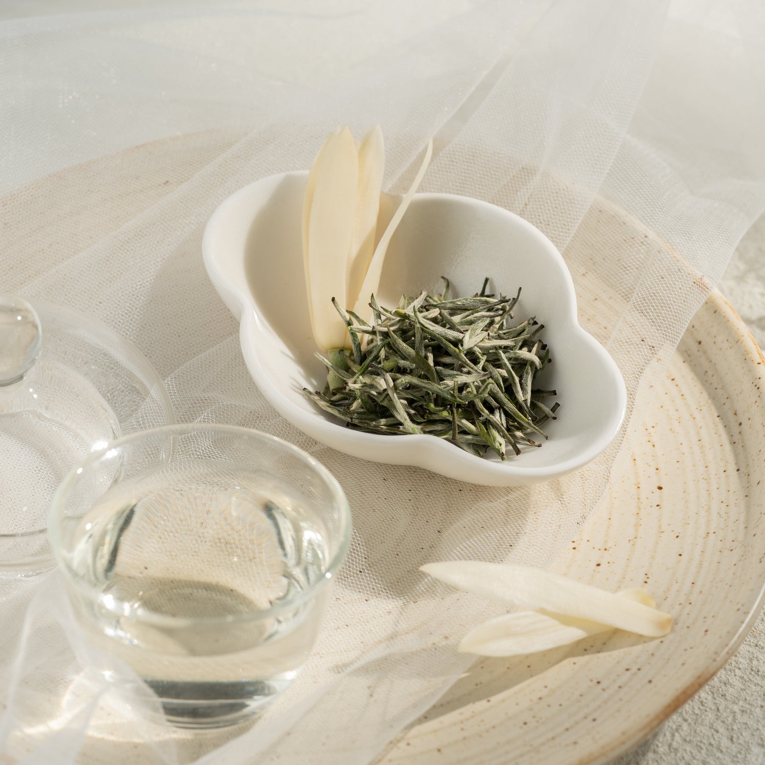 Orchid Frost Yellow Tea