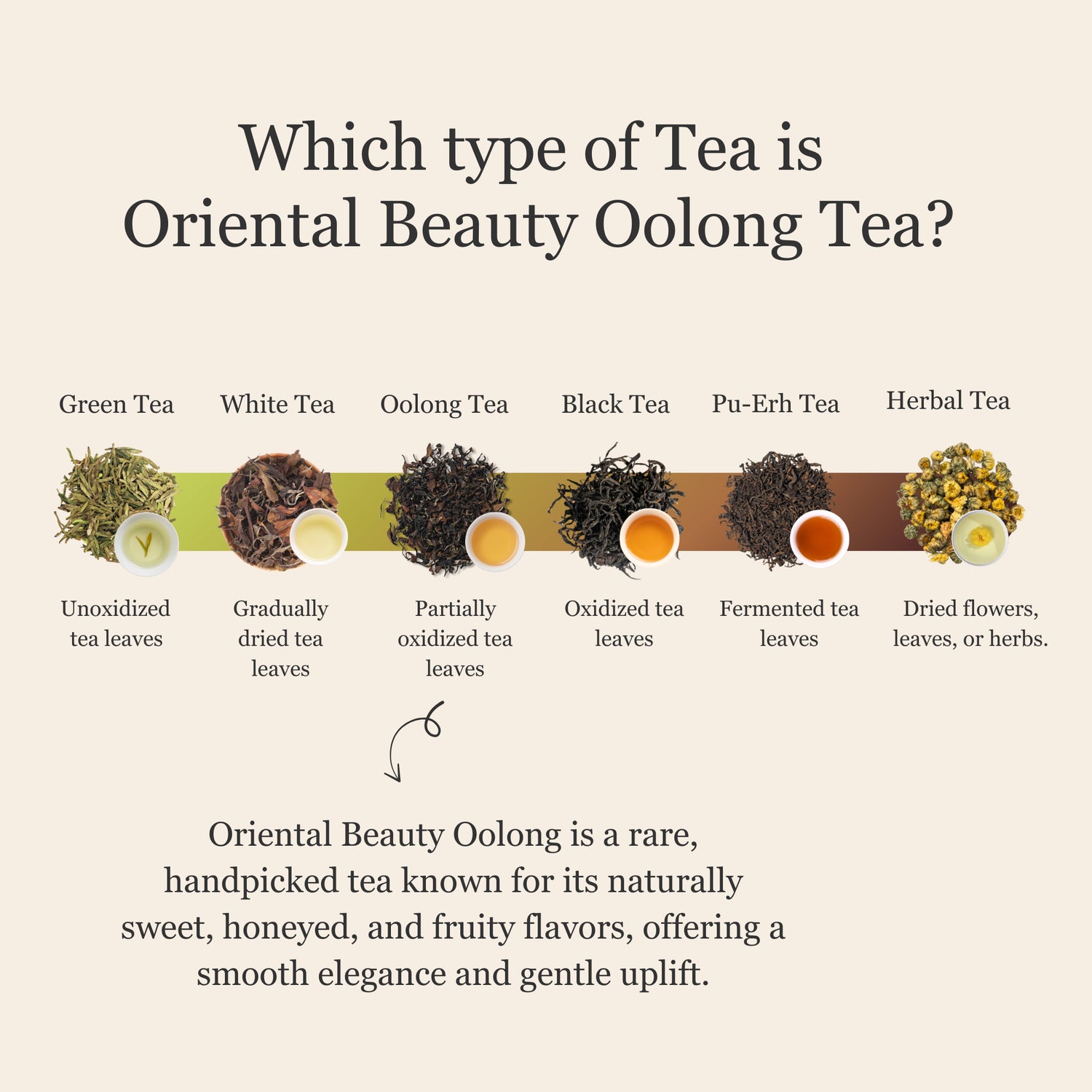 Oriental Beauty Oolong Tea – 50g/1.8oz