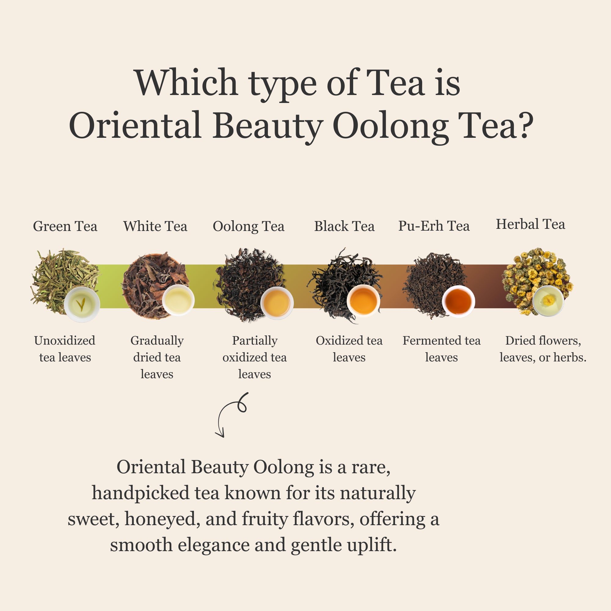 Oriental Beauty Oolong Tea – 50g/1.8oz