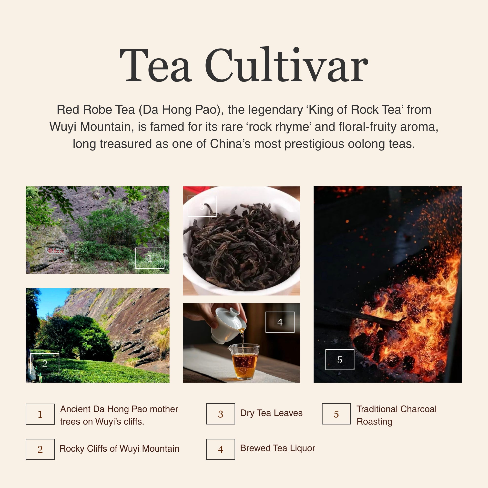 Da Hong Pao (Red Robe Tea) – 50g/1.8oz