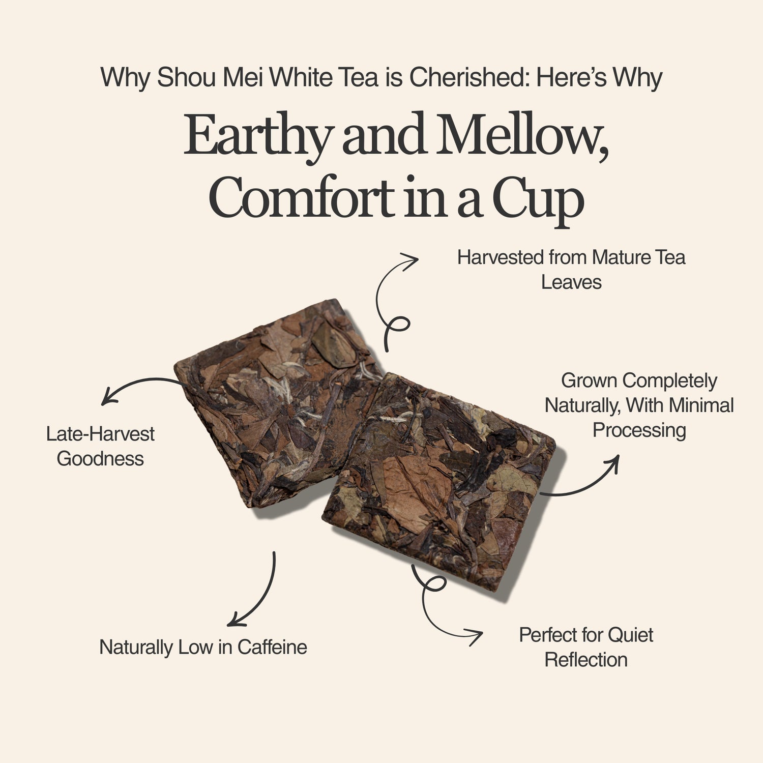 Shou Mei White Tea