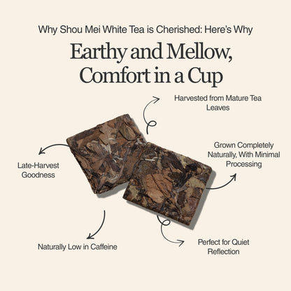 Shou Mei White Tea
