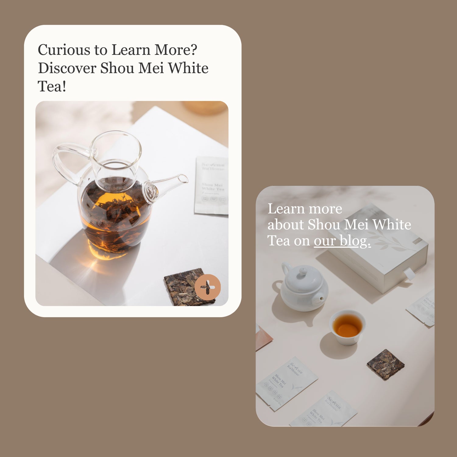 Shou Mei White Tea