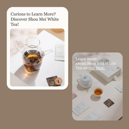 Shou Mei White Tea