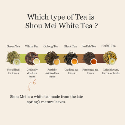 Shou Mei White Tea