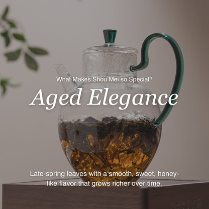 Shou Mei White Tea