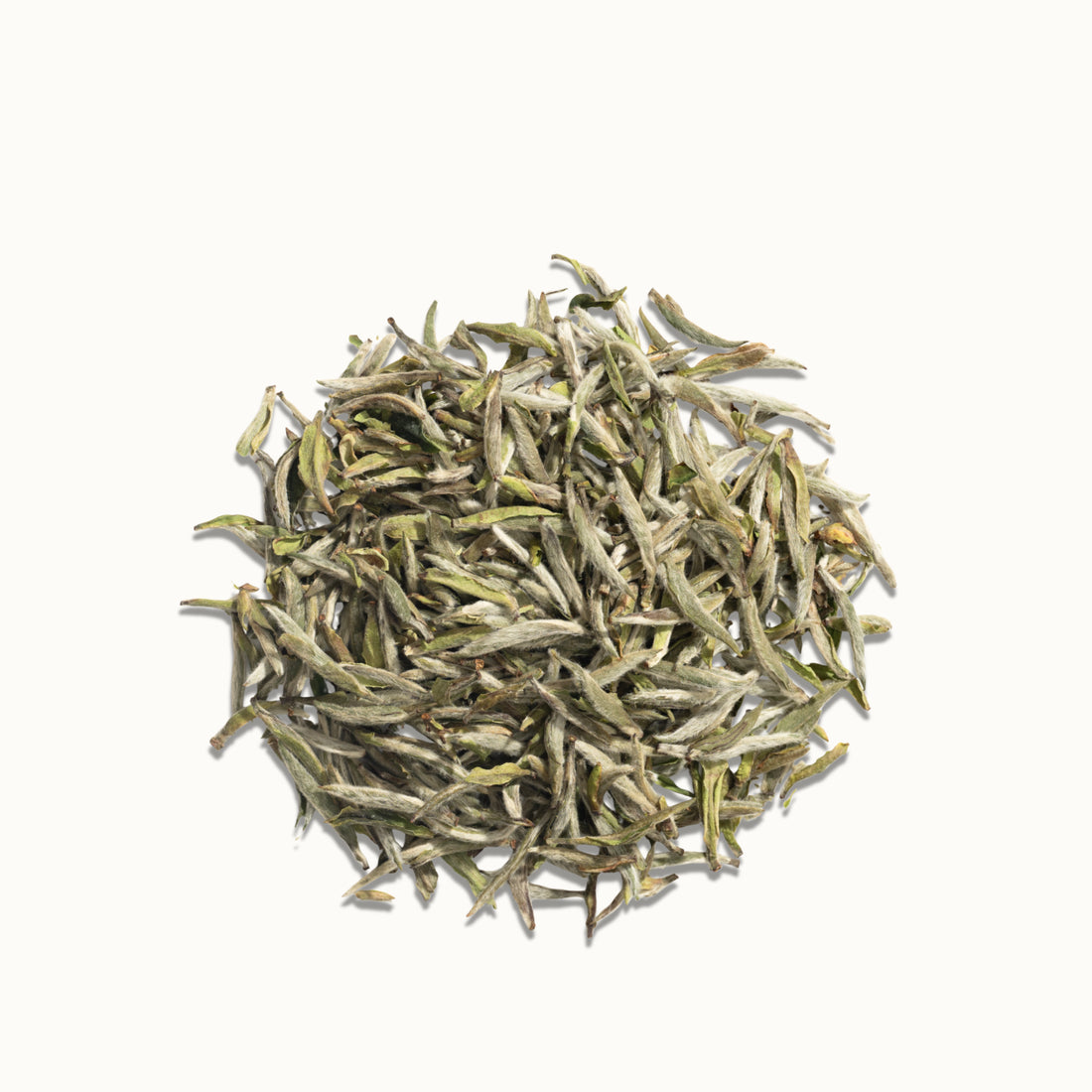 Silver Needle White Tea – 50g/1.8oz