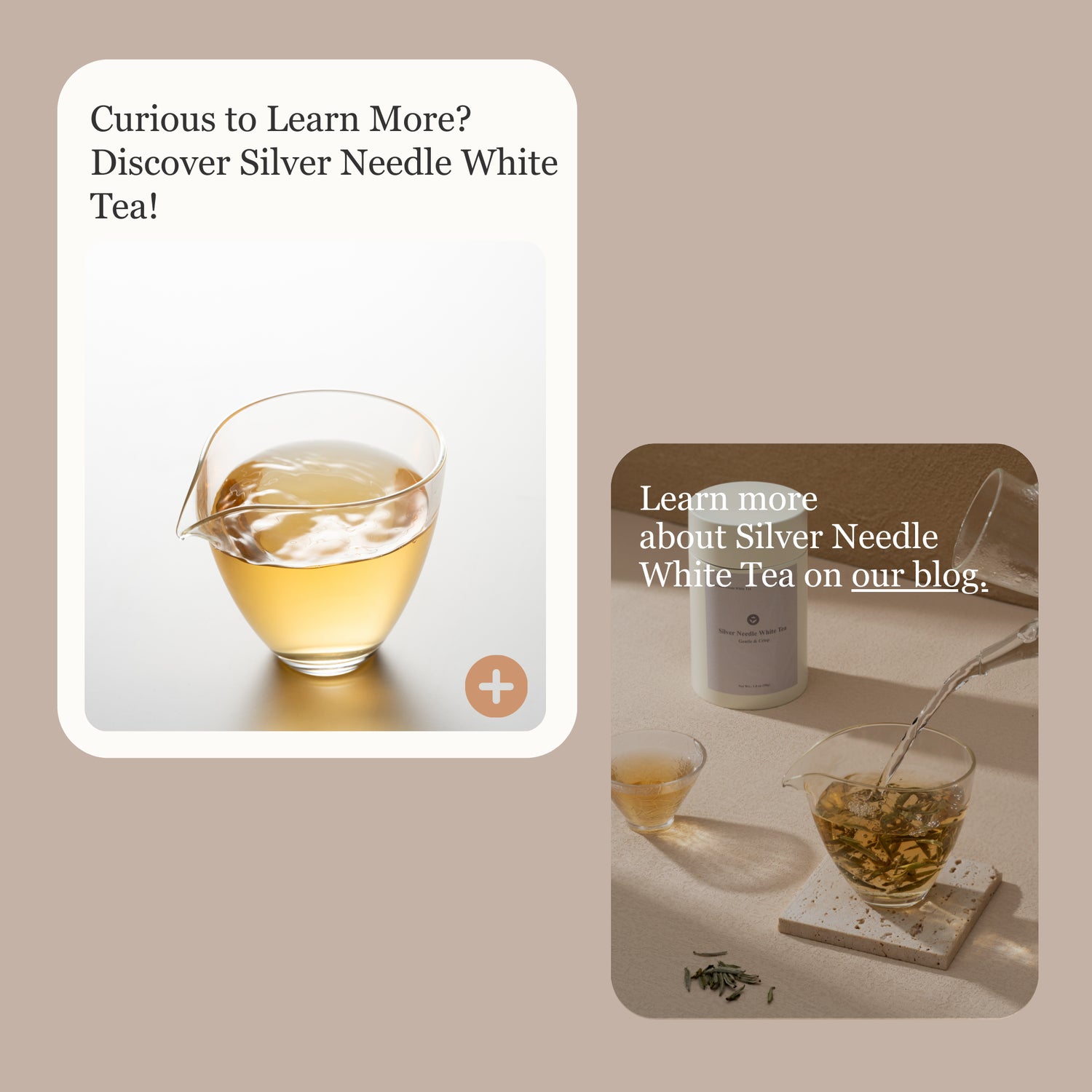 Silver Needle White Tea – 50g/1.8oz