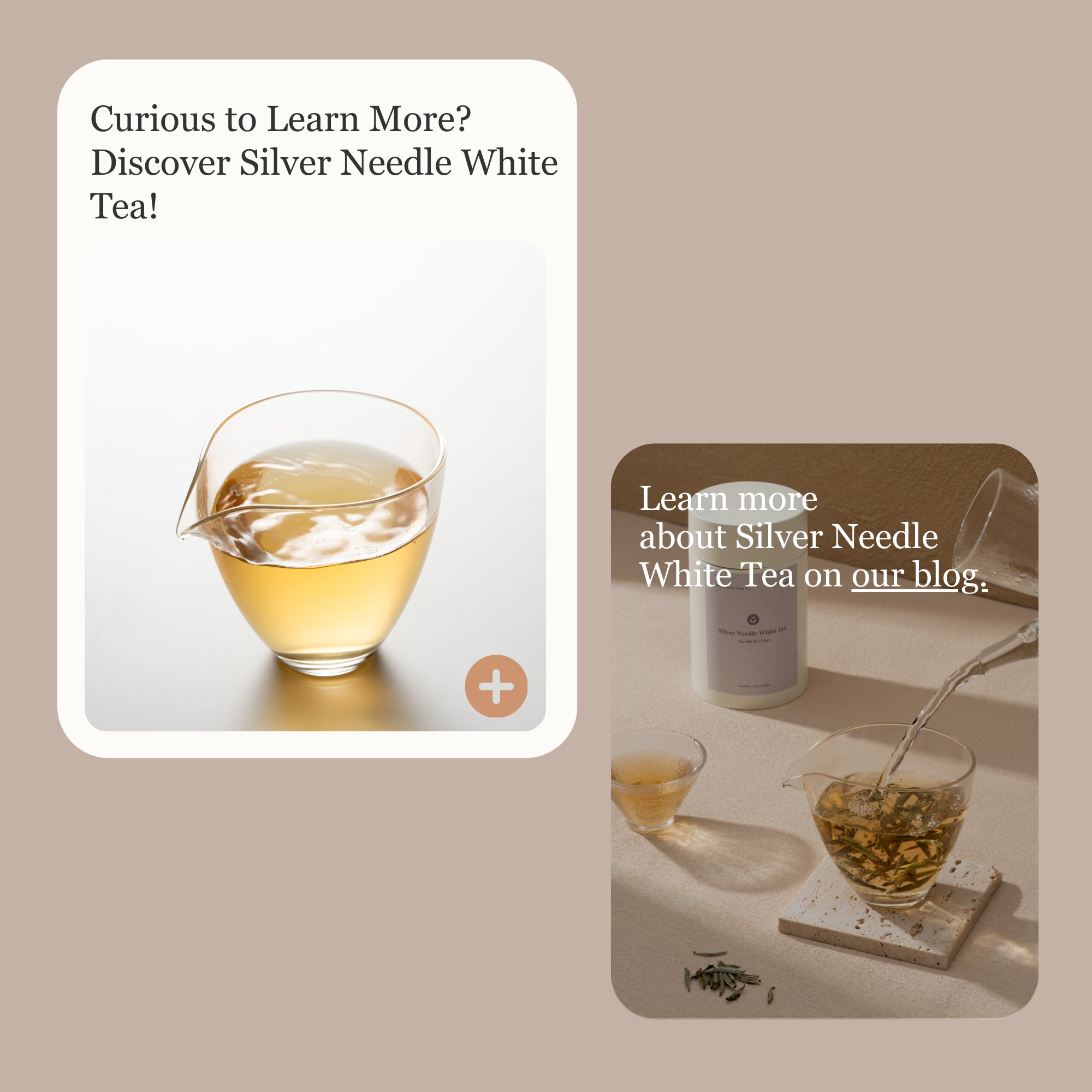 Silver Needle White Tea – 50g/1.8oz