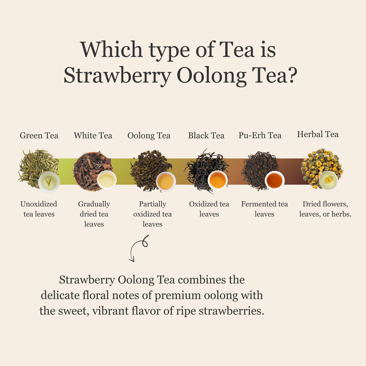 Strawberry Oolong Tea