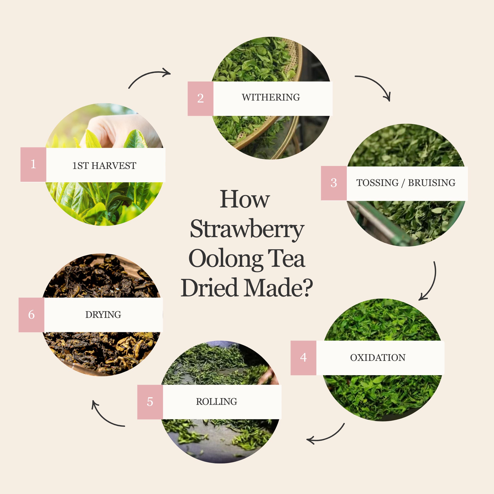 Strawberry Oolong Tea