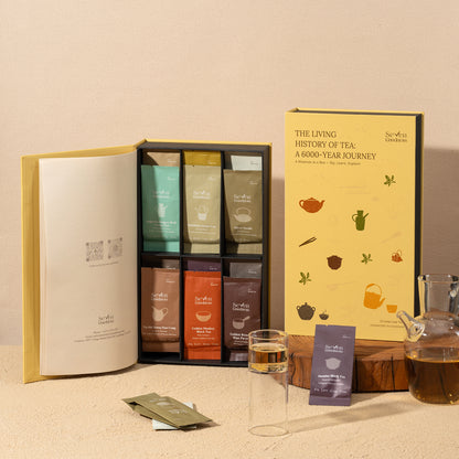 The Living History of Tea Gift Set | 6 Tea Types, 12 Packs