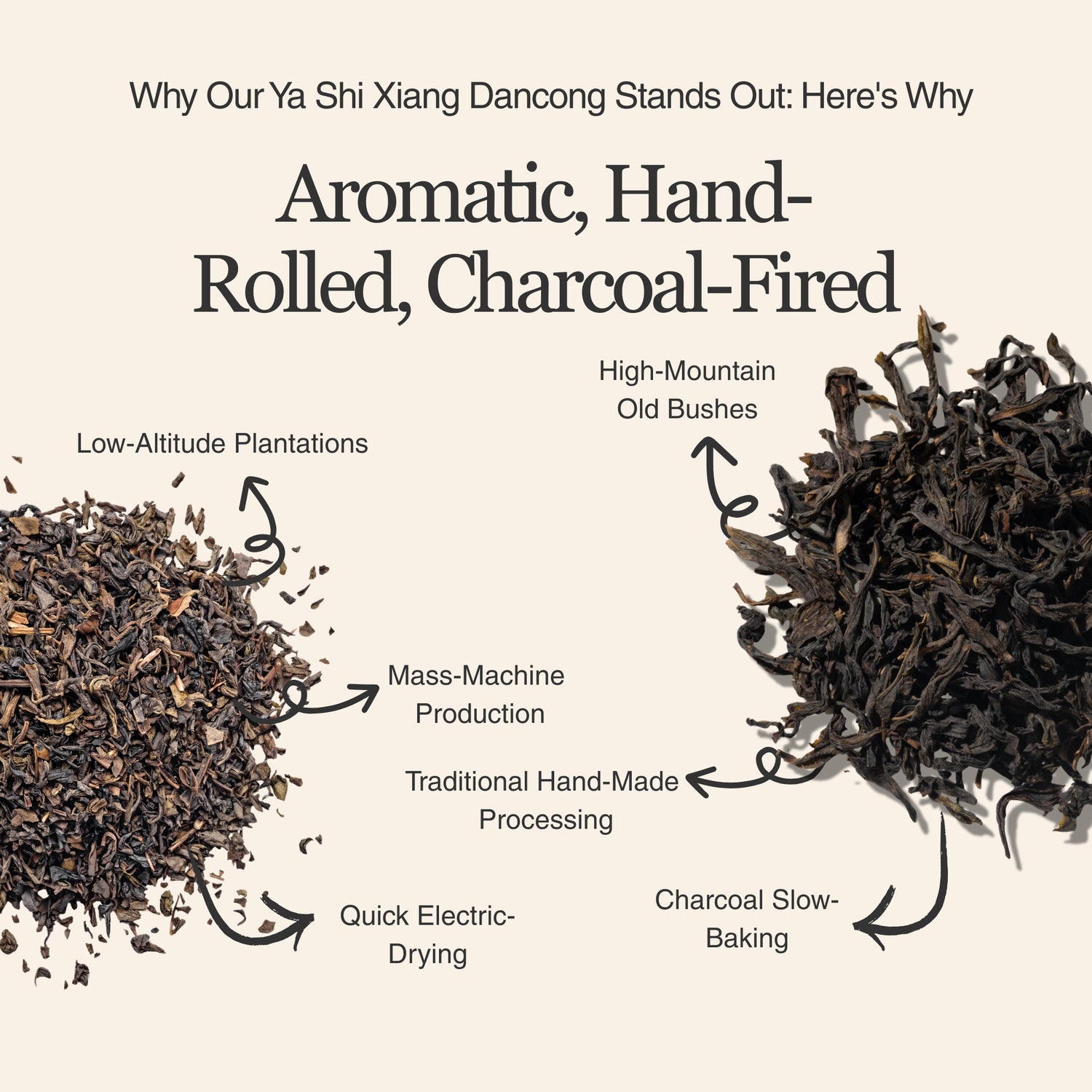 Phoenix Oolong (Ya Shi Xiang) Dan Cong – 50g/1.8oz