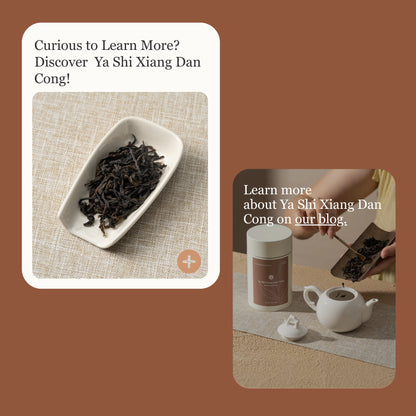 Phoenix Oolong (Ya Shi Xiang) Dan Cong – 50g/1.8oz