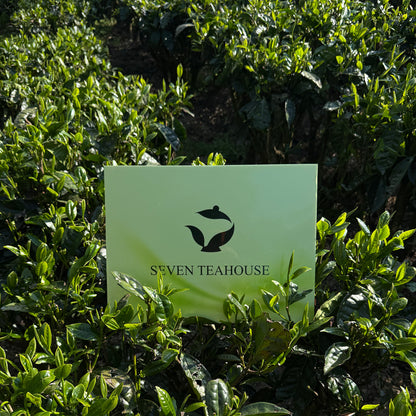 Fruit Oolong Collection | 7 Premium Selections Tea Bags