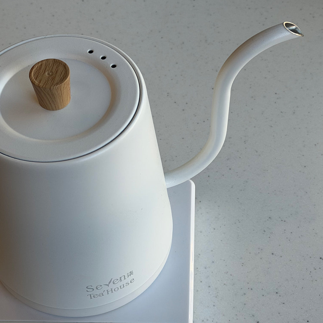 Temperature Control Gooseneck Kettle