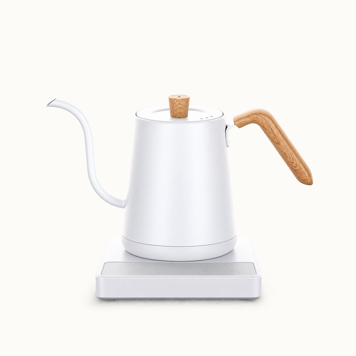 Temperature Control Gooseneck Kettle