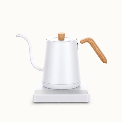 Temperature Control Gooseneck Kettle